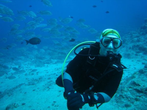 Diving Together