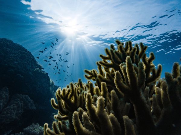 Underwater